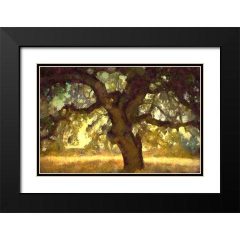 Big Shade I Black Modern Wood Framed Art Print with Double Matting by Bolokofsky, Ronald