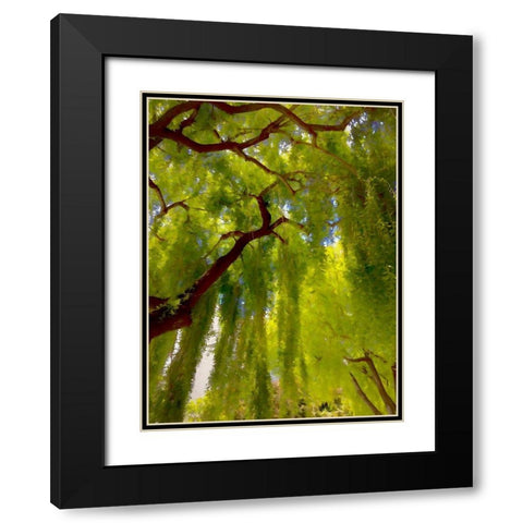 Big Shade II Black Modern Wood Framed Art Print with Double Matting by Bolokofsky, Ronald