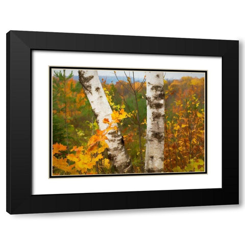 Birch Trees Black Modern Wood Framed Art Print with Double Matting by Bolokofsky, Ronald