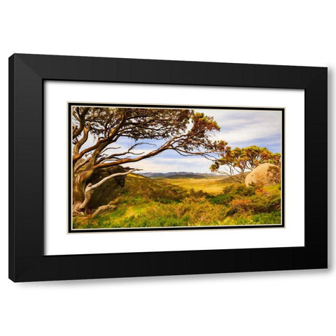Charlottes Pass Black Modern Wood Framed Art Print with Double Matting by Bolokofsky, Ronald