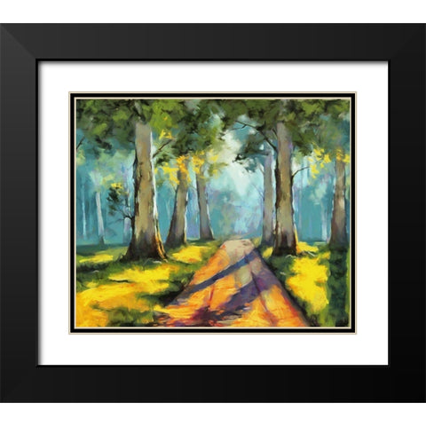 Forest Road II Black Modern Wood Framed Art Print with Double Matting by Bolokofsky, Ronald