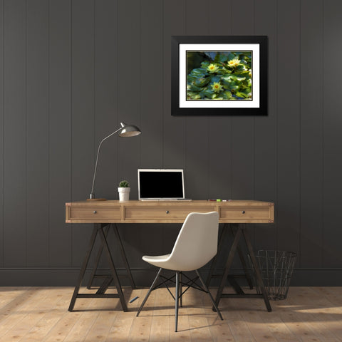 Lily Pads II Black Modern Wood Framed Art Print with Double Matting by Bolokofsky, Ronald