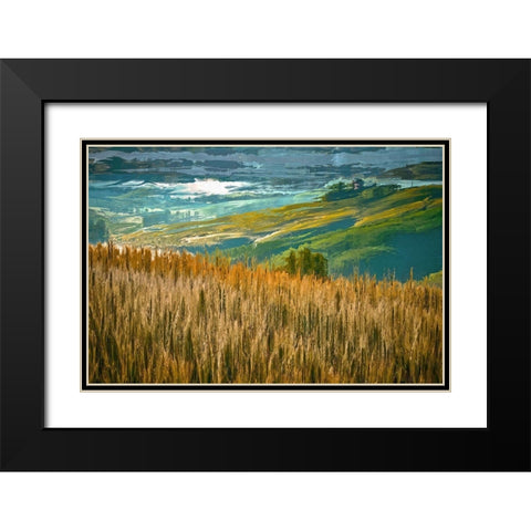 Misty Morning In Tuscany Black Modern Wood Framed Art Print with Double Matting by Bolokofsky, Ronald