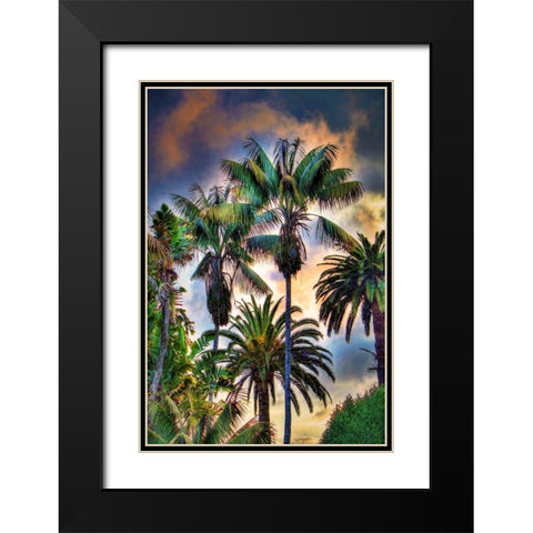 Palm Haven Black Modern Wood Framed Art Print with Double Matting by Bolokofsky, Ronald