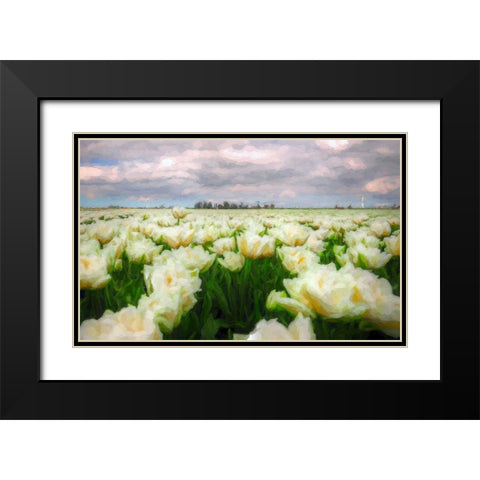 Tulip Field Black Modern Wood Framed Art Print with Double Matting by Bolokofsky, Ronald