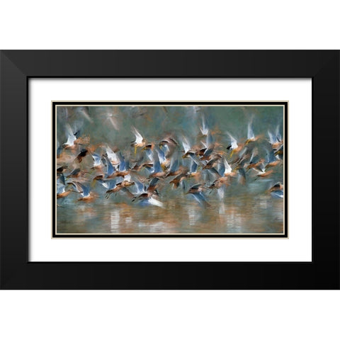 Long Billed Dowitcher Black Modern Wood Framed Art Print with Double Matting by Bolokofsky, Ronald