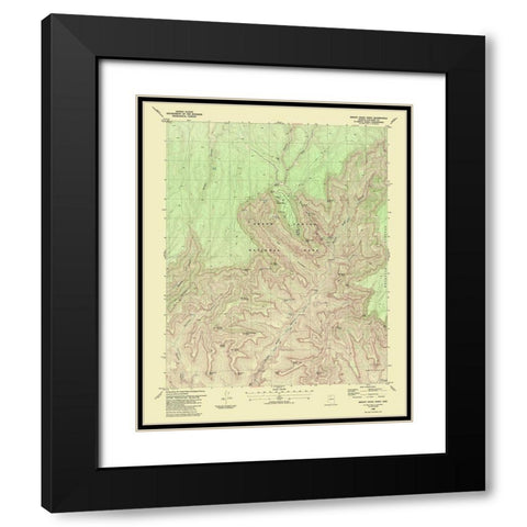 Bright Angel Point Arizona Quad - USGS 1988 Black Modern Wood Framed Art Print with Double Matting by USGS