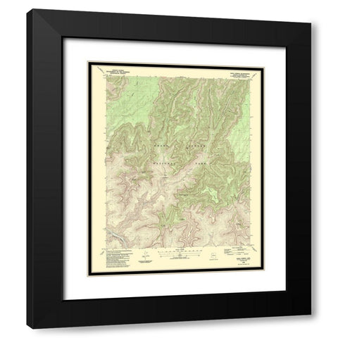 Shiva Temple Arizona Quad - USGS 1988 Black Modern Wood Framed Art Print with Double Matting by USGS