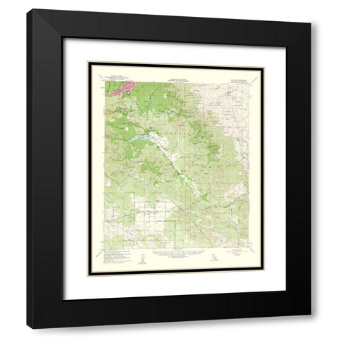 Idyllwild California Quad - USGS 1963 Black Modern Wood Framed Art Print with Double Matting by USGS