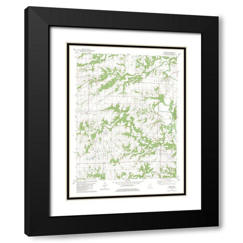 Camden Illinois Quad - USGS 1981 Black Modern Wood Framed Art Print with Double Matting by USGS