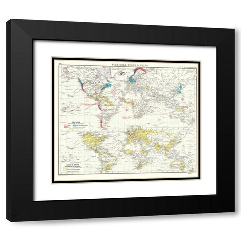 Global Fish Oils Hides Skins - Bartholomew 1907 Black Modern Wood Framed Art Print with Double Matting by Bartholomew