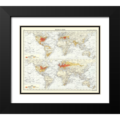 Global Maize Oats - Bartholomew 1907 Black Modern Wood Framed Art Print with Double Matting by Bartholomew
