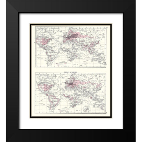 Global Potato Manioc - Bartholomew 1907 Black Modern Wood Framed Art Print with Double Matting by Bartholomew