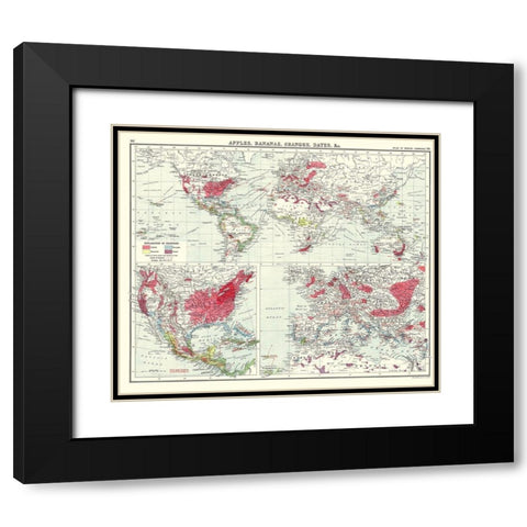 Apples Bananas Oranges Dates World - Newnes 1907 Black Modern Wood Framed Art Print with Double Matting by Newnes