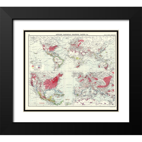 Apples Bananas Oranges Dates World - Newnes 1907 Black Modern Wood Framed Art Print with Double Matting by Newnes