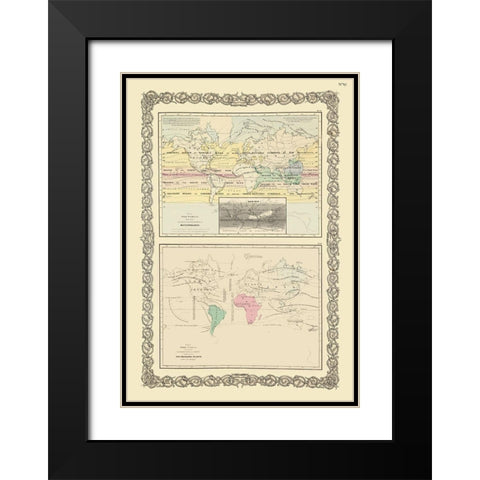 Meteorology Priniciple Plants Black Modern Wood Framed Art Print with Double Matting by Unknown