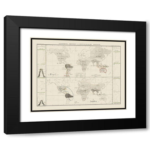 World Herpetological - 1845 Black Modern Wood Framed Art Print with Double Matting by Unknown