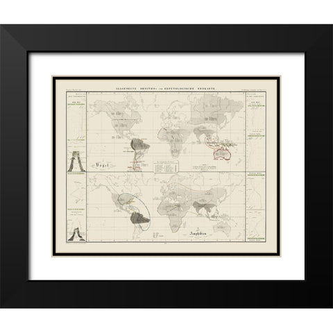 World Herpetological - 1845 Black Modern Wood Framed Art Print with Double Matting by Unknown