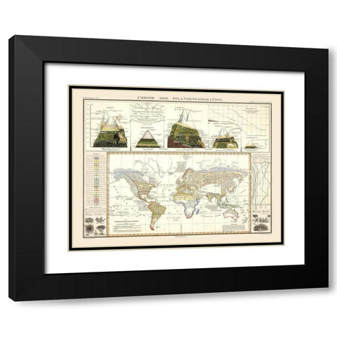 World Plant Geography - Perthes 1838 Black Modern Wood Framed Art Print with Double Matting by Perthes