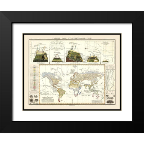 World Plant Geography - Perthes 1838 Black Modern Wood Framed Art Print with Double Matting by Perthes