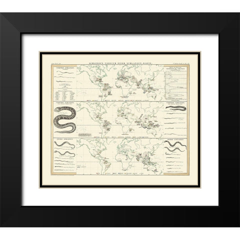 World Snakes - Berghaus Black Modern Wood Framed Art Print with Double Matting by Berghaus