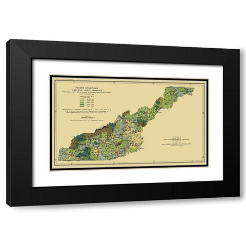 Western North Carolina Forest Conditions 1909 Black Modern Wood Framed Art Print with Double Matting by USFS