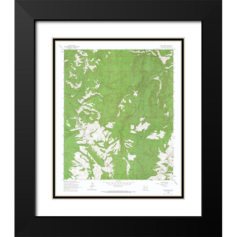 Salize Pass New Mexico Quad - USGS 1963 Black Modern Wood Framed Art Print with Double Matting by USGS