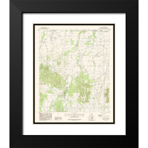 Buffalo Gap Texas Quad - USGS 1984 Black Modern Wood Framed Art Print with Double Matting by USGS