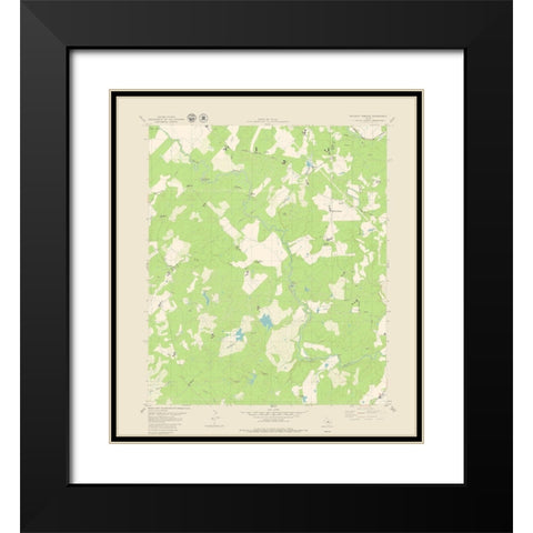 Blanket Springs Texas Quad - USGS 1979 Black Modern Wood Framed Art Print with Double Matting by USGS