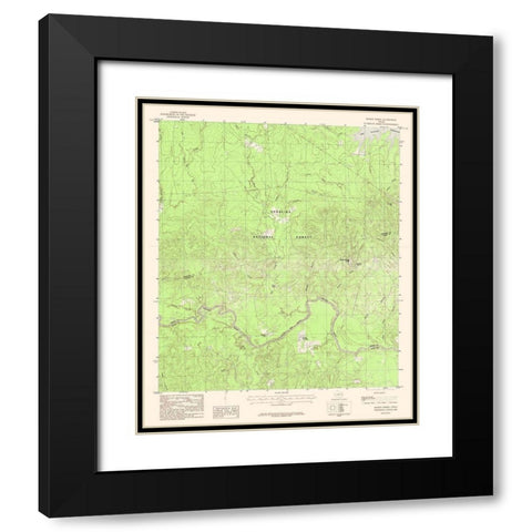 Boykin Spring Texas Quad - USGS 1984 Black Modern Wood Framed Art Print with Double Matting by USGS