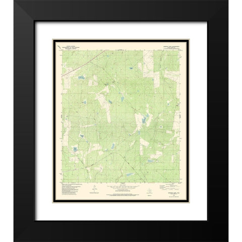 Burrito Tank Texas Quad - USGS 1980 Black Modern Wood Framed Art Print with Double Matting by USGS