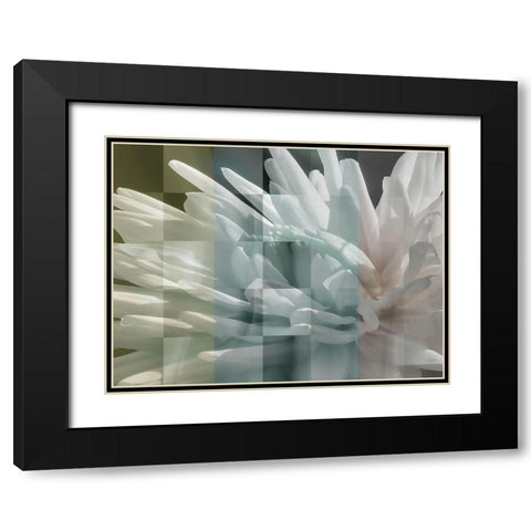 Checkered Dhalia Pastels Black Modern Wood Framed Art Print with Double Matting by Bartola