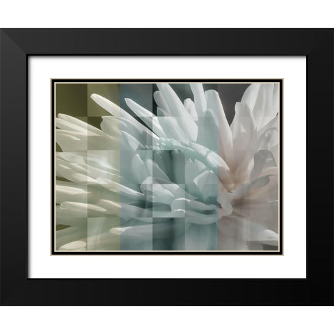 Checkered Dhalia Pastels Black Modern Wood Framed Art Print with Double Matting by Bartola