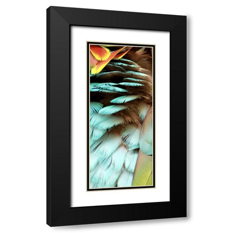 Feathers I Black Modern Wood Framed Art Print with Double Matting by Bartola