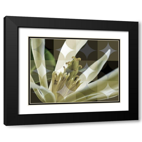 Floral Design II Black Modern Wood Framed Art Print with Double Matting by Bartola
