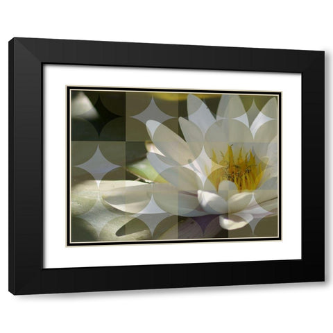 Floral Design VI Black Modern Wood Framed Art Print with Double Matting by Bartola