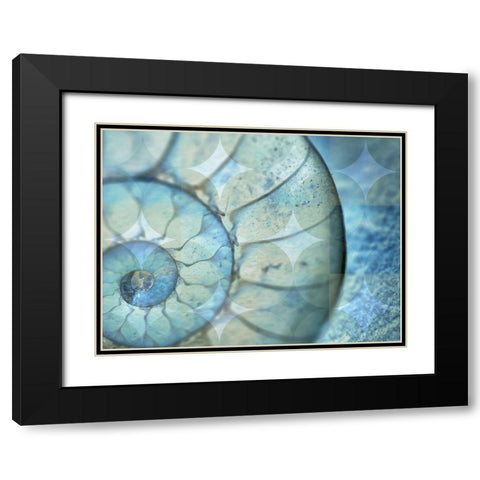 La Concha Marsala Black Modern Wood Framed Art Print with Double Matting by Bartola