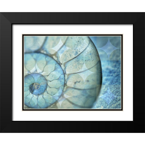 La Concha Marsala Black Modern Wood Framed Art Print with Double Matting by Bartola
