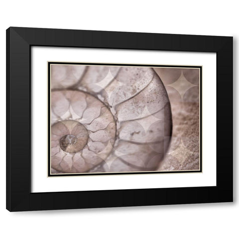 La Concha I Black Modern Wood Framed Art Print with Double Matting by Bartola