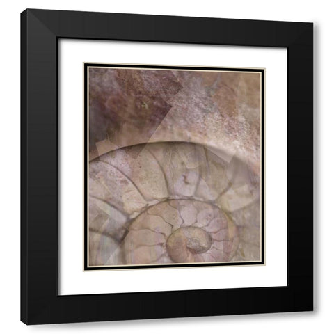 La Concha II Marsala Black Modern Wood Framed Art Print with Double Matting by Bartola