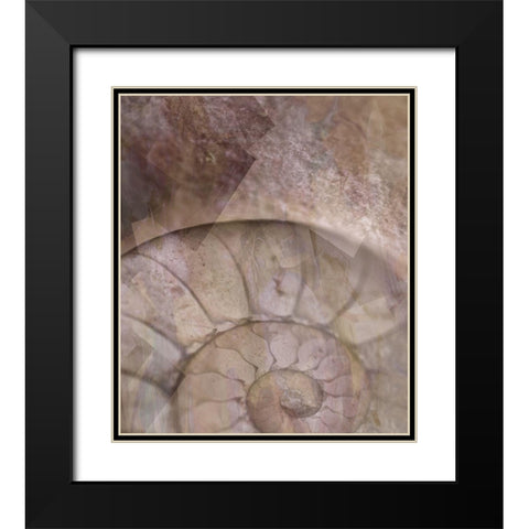 La Concha II Marsala Black Modern Wood Framed Art Print with Double Matting by Bartola