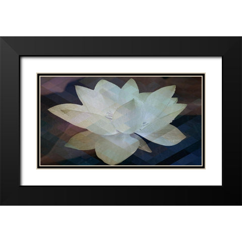 Lotus Designs Black Modern Wood Framed Art Print with Double Matting by Bartola