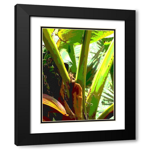Banana II Black Modern Wood Framed Art Print with Double Matting by Franklin