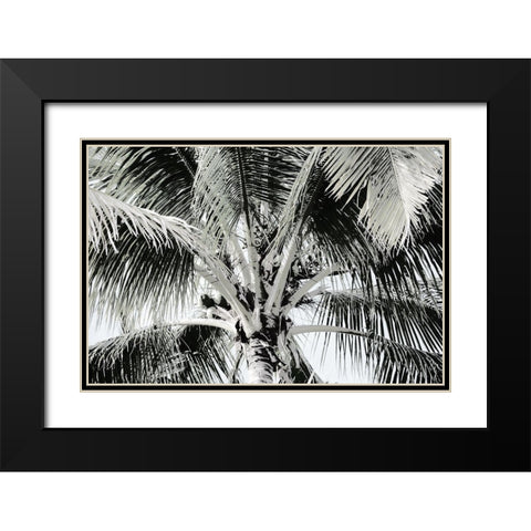 Neutral Palm I Black Modern Wood Framed Art Print with Double Matting by Franklin