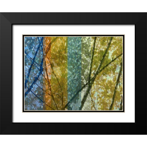 Rainbow Canopy Black Modern Wood Framed Art Print with Double Matting by Franklin