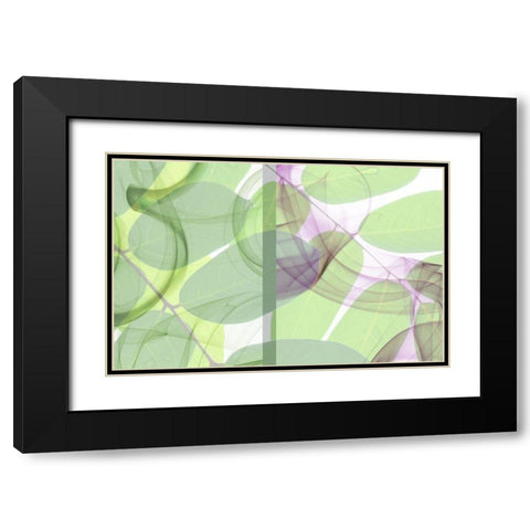 Leaf Swirl Black Modern Wood Framed Art Print with Double Matting by Franklin