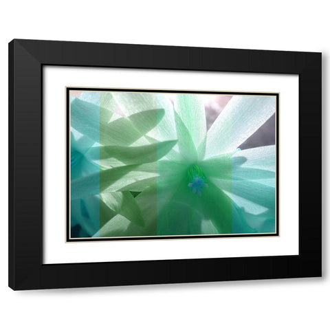 Floral Shadow Black Modern Wood Framed Art Print with Double Matting by Franklin