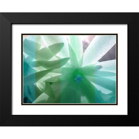 Floral Shadow Black Modern Wood Framed Art Print with Double Matting by Franklin
