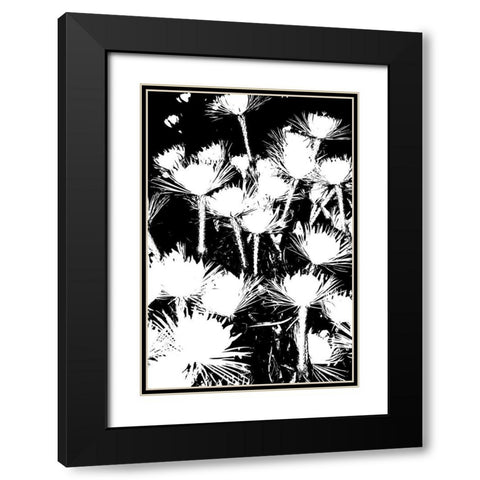 Bloomin Black I Black Modern Wood Framed Art Print with Double Matting by Simons