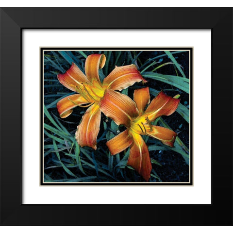 Celebration Black Modern Wood Framed Art Print with Double Matting by Simons